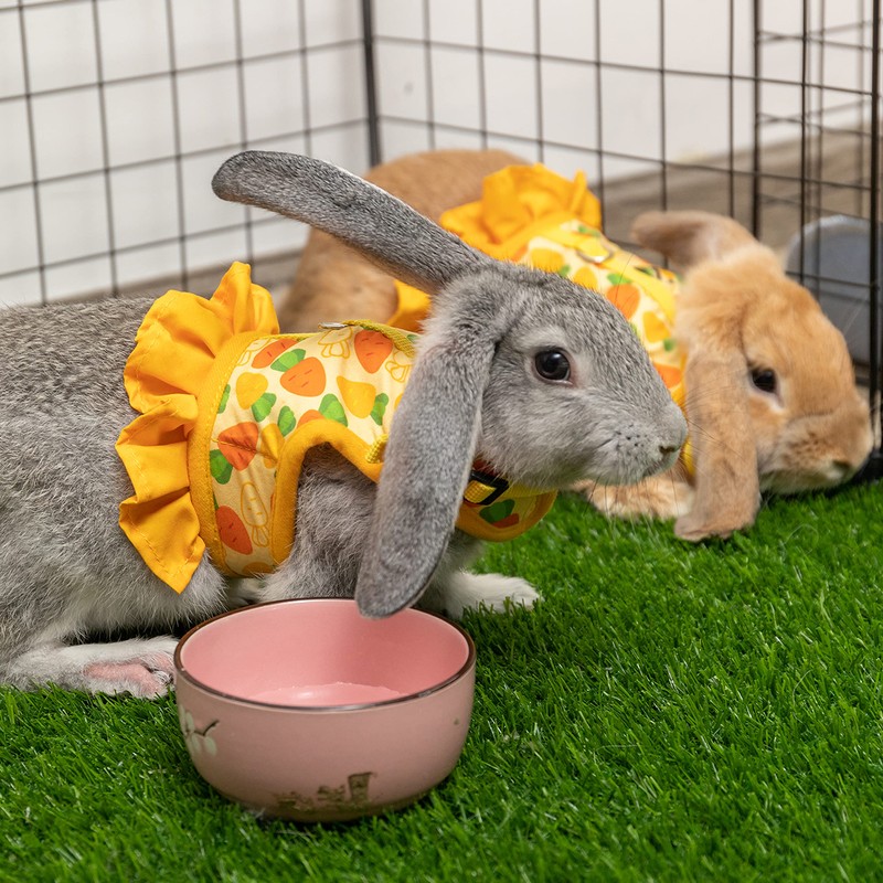 ALUZAEMO Bunny Harness and Leash Set, Escape Proof Carrot Mesh