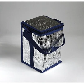 Thermal Insulated Bag, Box Type, 5.5 x 5.5 x Height 8.3 inches (14 x 14 x 21 cm)