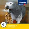 Vitakraft Crunch Sticks Parrot Treat - Apple and Honey -