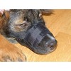 Kerbl Muzzle Nylon, 14 x 20 cm, 6.5 cm, 15
