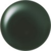 Cocoist E-224 Color Gel 0.1 oz (2.5 g), Midnight Forest