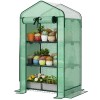 Portable Mini Greenhouse with Screen Roof and Roll-Up Zipper Door