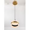 DANSEER Mid Century Modern Gold LED Pendant Light, Mini Hanging