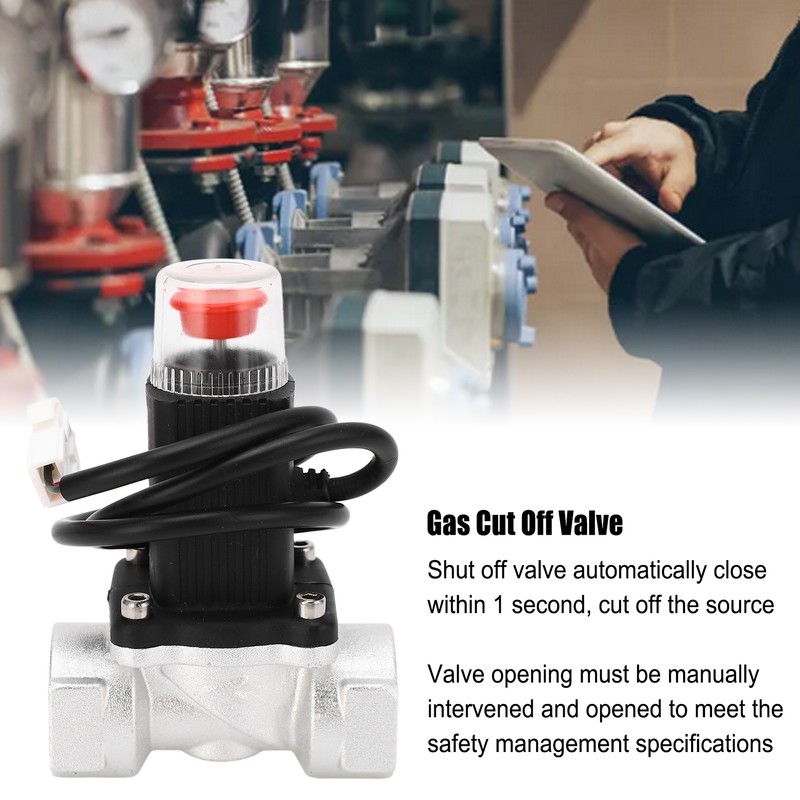 Gas Cut Off Valve 1S Quick Closing Manual Opening 50kPa