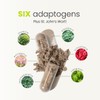 Solle Naturals Adaptable 180 Capsules - Vegan Nutritional Supplement for