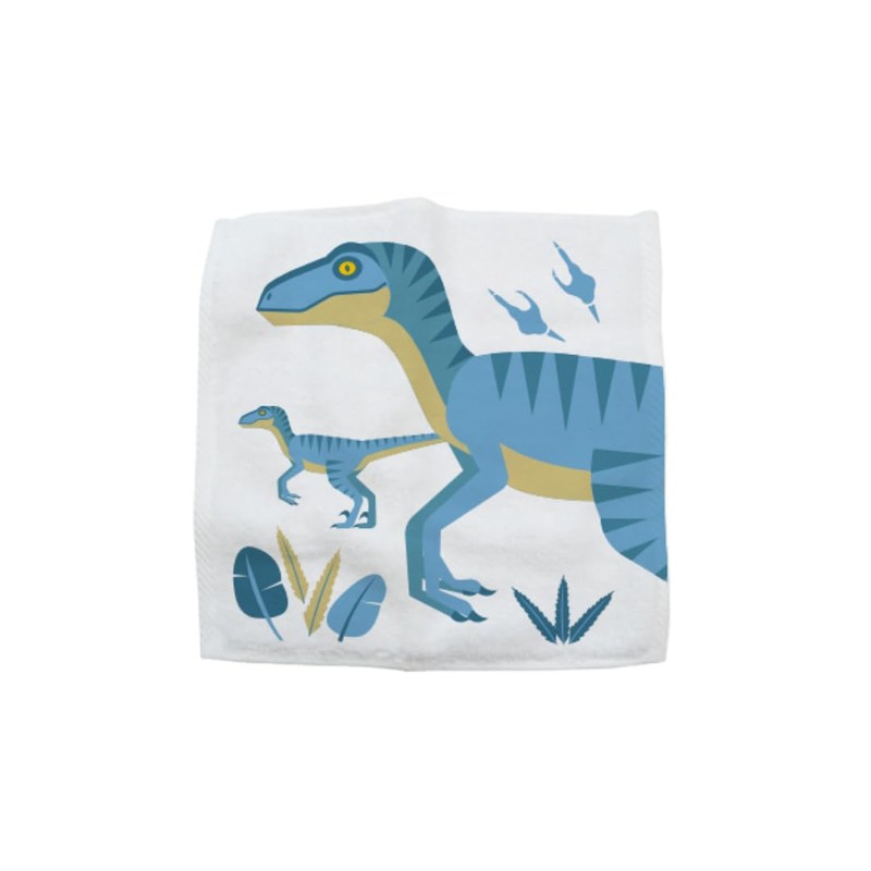 Hello Chums Wash Cloth - Dinosaur Magic Flannel, Face Cloths
