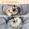 PAWZ Road Cat Tunnel Bed with Central Mat and Peek