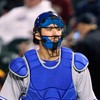 Baseball Catcher Mask Umpire Mask,Full-Face Protection Mask for Baseball,Lightweight Secure