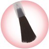 Canmake Foundation Colors, 10 Shell Pink, 0.3 fl oz (8