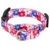 Rhea Rose Dog Martingale Collar with Quick Release Buckle, Adjustable