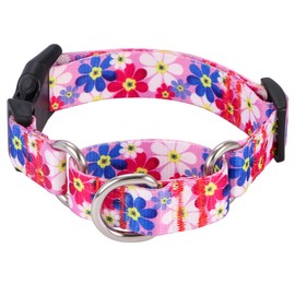 Rhea Rose Dog Martingale Collar with Quick Release Buckle, Adjustable Soft Escape Proof collar, Training collar, Pink Daisy Patterns, Small