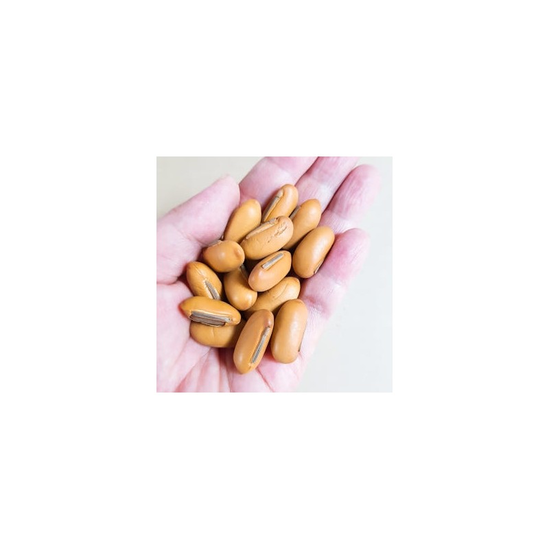 Domestic roasted small bean tea set Small bean pods Macmundong