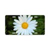 CafePress White Daisy Aluminum License Plate, Front License Plate, Vanity