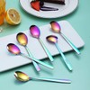 Berglander Rainbow Teaspoon, Stainless Steel Tea Spoon Dessert Spoon with