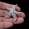 OBONNIE Broche de perlas de estrella de mar de cristal