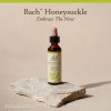 Bach Flower Remedies Honeysuckle Embrace the Now Emotional Wellness 20ml