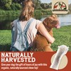 Heartland Elk Antlers for Dogs - Grade A, Naturally Shed