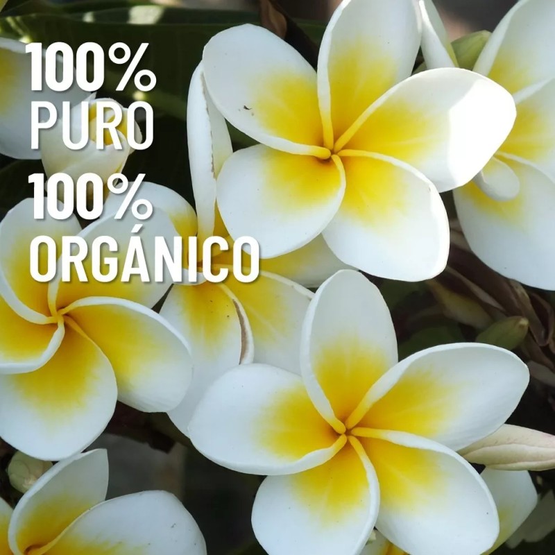 Oleum Vitae Aceite Esencial De Jazmín 100% Puro Y Orgánico