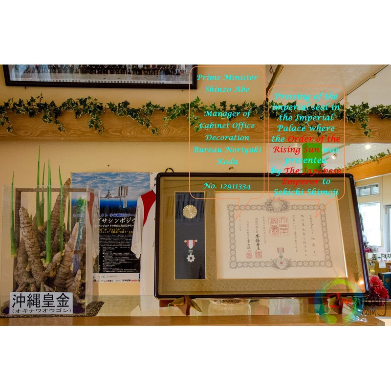 Fucoidan 8 Okinawan Herbs 8 Types of Extracts