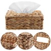 Water Hyacinth Face, Rattan Tissue Box, 27.5 x 11.3 x