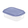 Rotho 0.5 Litre Rectangular Container, Blue Lid, Clear, 0.5 Litre