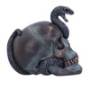 Nemesis Now Serpentine Fate Skull, Grey, 19cm