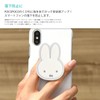 Gourmandies Miffy POCOPOCO MF-294A