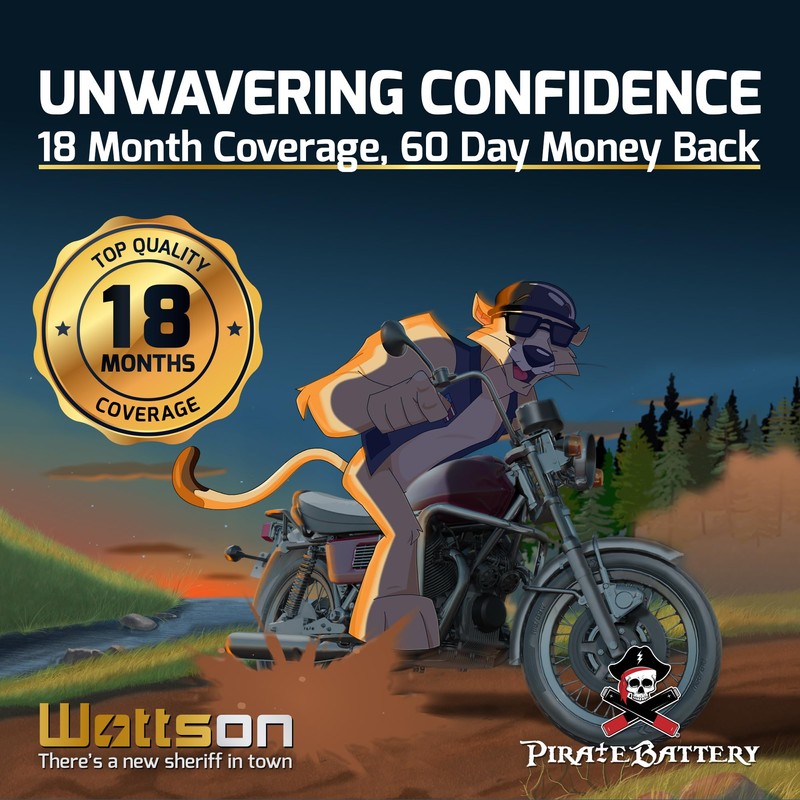 Pirate Battery 12 V 22 Ah AGM Sealed Lead‑Acid Battery – T3