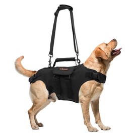 Dog Lift Harness, Full Body Support with Adjustable Control Handle for Large Senior Dogs, Post-Surgery Recovery & Joint Problems (Oxford Cloth, XL)