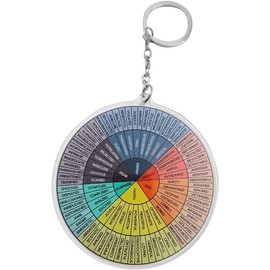 GANPUB 1Pc Multicolour Feelings Wheel Round Mood Wheel Therapy Emotions Mental Health Color Wheel Social Work Feelings Sign Keychain Holder, Home Décor