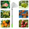 Fruit Picker Length Adjustable Stainless Steel Lemon Orange Pear Picker