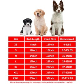 PET SHOW 4 Pack Blank Dog Shirts for Small Medium Dogs Female Tank Top Tee Solid Red Pink T-Shirts Pets Daily Plain Sleeveless Vest Cats Puppy Clothes Girls(Medium)