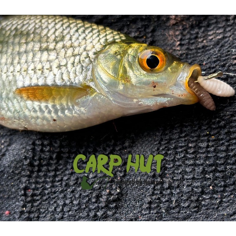 Artificial Pop Up Flavour Infused Maggot Casters for Carp and