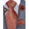 Gusleson Mens Gold Red Tie Paisley Wedding Solid Silk Necktie