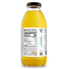 Just Ice Tea Organic Iced Tea, 16 Fl Oz Glass Bottles (Pack of 4) (Moroccan Mint Green Tea)