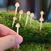 8-Pack Clay Mushrooms,Mini Fake Mushrooms,Handmade Small Mushroom,DIY Miniature Landscape Accessories,Miniature