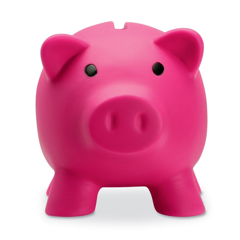 Plastic Piggy Bank/Money Box for Savings Coins - Fuchsia
