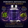 Gynostemma Supplement with Green Tea Extract, 60 Capsules