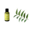 ACEITE ESENCIAL DE NEEM 30 ML