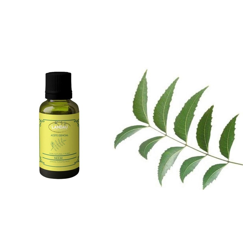 ACEITE ESENCIAL DE NEEM 30 ML