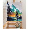 TOCARE Aurora Paint by Numbers Kit for Adults,Aurora Borealis Adult