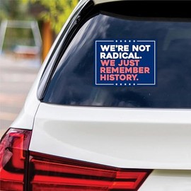 We're Not Radical We Just Remember History Vinyl Sticker, Resist Hate, Anti-Trump, Resist Racism, Resist Fascism Bumper Sticker, 6" x 4.5"