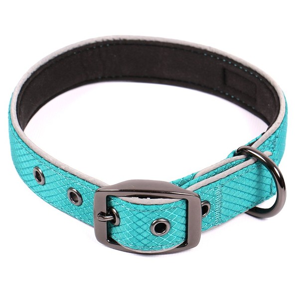 Max and Neo Glacier Reflective Neoprene Metal Buckle Dog Collar - We Donate a Collar to a Dog Rescue for Every Collar Sold (Small, Teal)