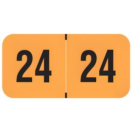 2024 Year Stickers, Doctor Stuff 2024 Chart Stickers, Fluorescent Orange Color Coded, USA Made Year Labels for End Tab File Folders, 500 Labels per Roll, 1 Roll, 3/4" x 1-1/2"