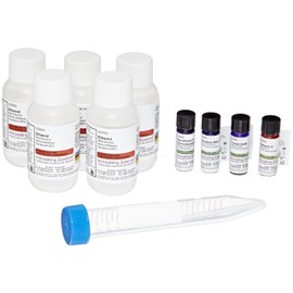 Innovating Science Paper Chromatography Kit to Separate Chemical Substances