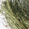 Donguihanjae 동의한재 국산 햇 비단풀 땅빈대 300g Korean Domestic Fresh