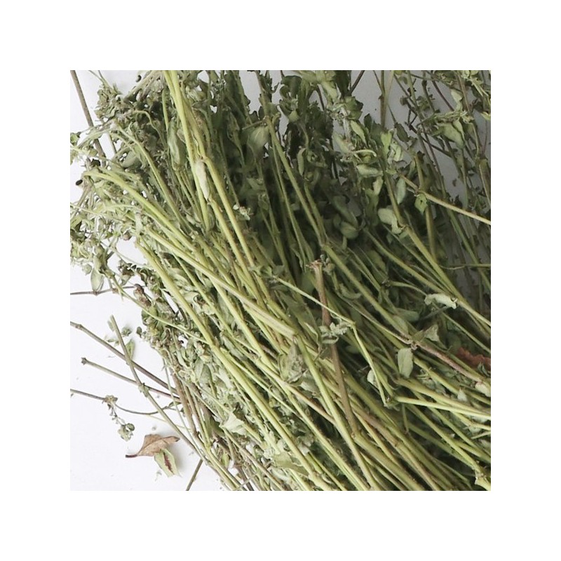Donguihanjae 동의한재 국산 햇 비단풀 땅빈대 300g Korean Domestic Fresh