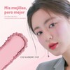 Better Than Cheek - C02 Blueberry Chip by Rom&nd for