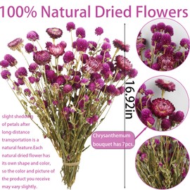 ACRYCS Dried Flowers Bouquet Dried Daisy Flowers Purple Natural Dried Flower Globe Amaranth Daisies Flowers Chrysanthemums Floral Arrangements for Wedding Party Table Centerpiece Decor Farmhouse DIY