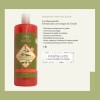 Shampoo Fortalecedor De Cacahuananche Florigan® 1lt.